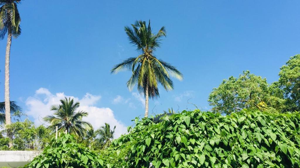 Villa Ceylon Home Unawatuna Ngoại thất bức ảnh